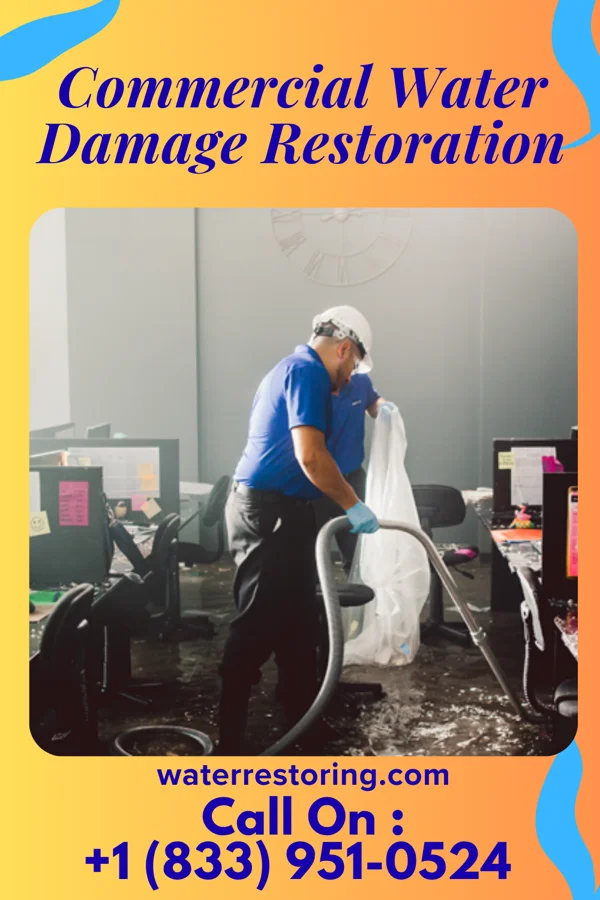 Commercial Water Damage Restoration in Arena, WI