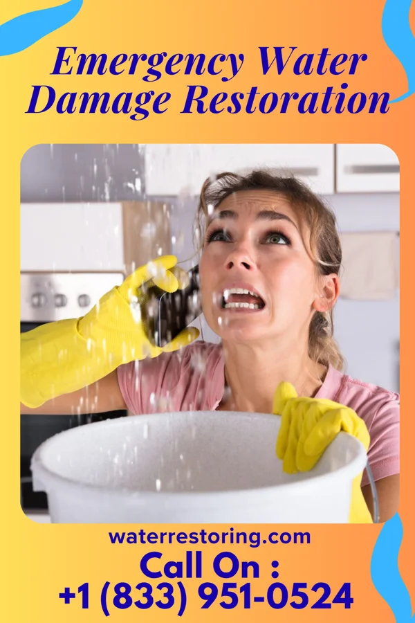 Emergency Water Damage Restoration in Arena, WI