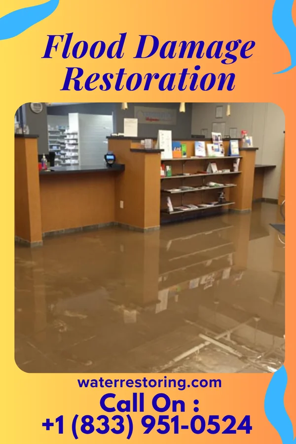 Flood Damage Restoration in Arena, WI
