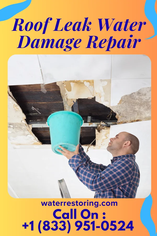 Roof Leak Water Damage Repair in Arena, WI